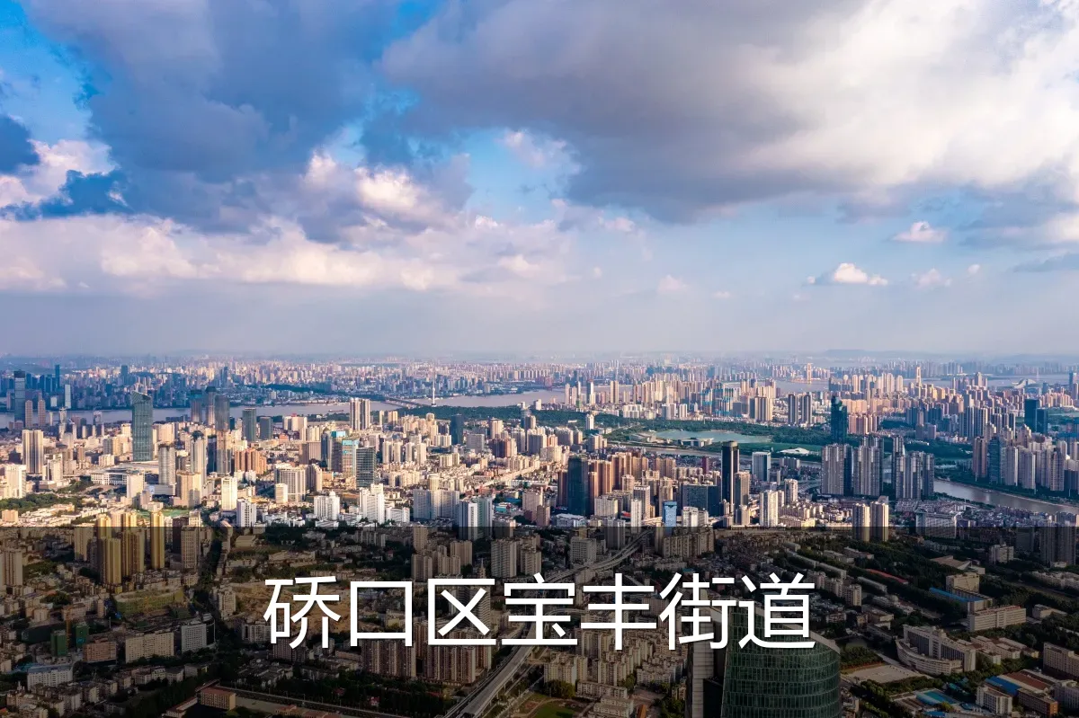 硚口区宝丰街道